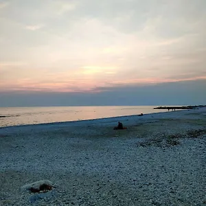 Monopat Marina Di Pisa